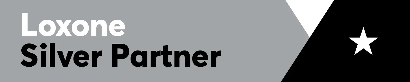 Silver Partner Logo.jpg